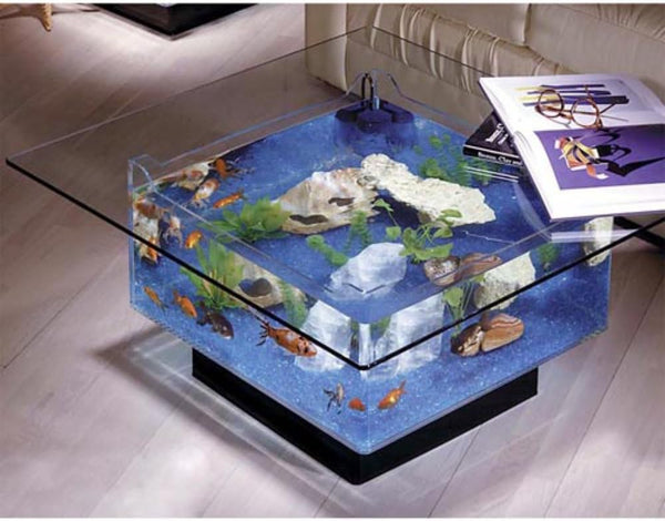 Transform Your Living Room into an Aquatic Wonderland!