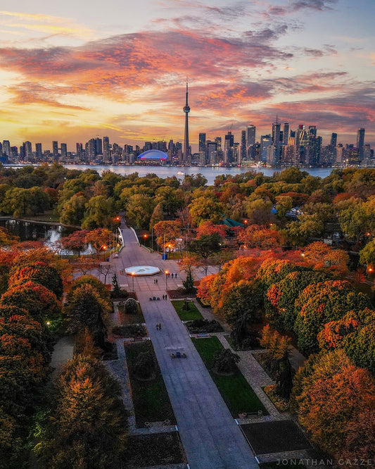 Celebrate the Spirit of Toronto with These Top 50 Gift Ideas at Your Fingertips!