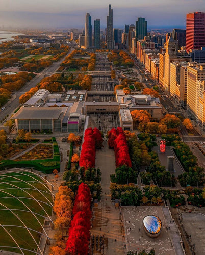 35 Stunning Chicago Gifts That Showcase the Heart of the Windy City