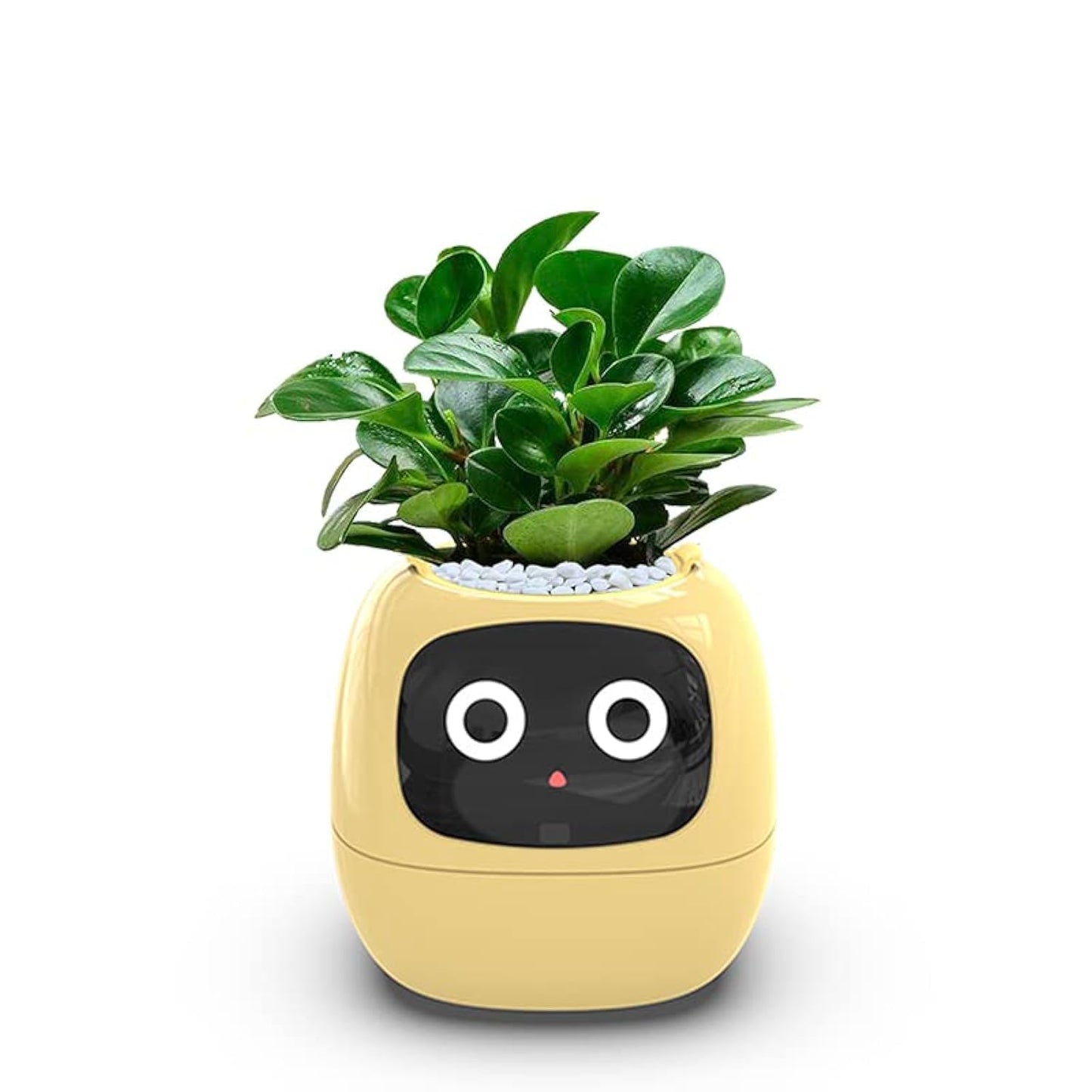 AI Plant Pot: The Smart Way to Grow