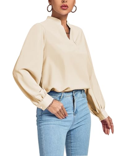 V-Neck Shirred Office Tunic Blouse