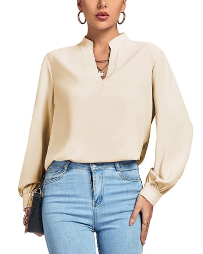 V-Neck Shirred Office Tunic Blouse